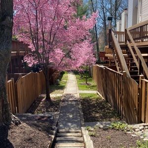 Meet your Posher, Soyoung